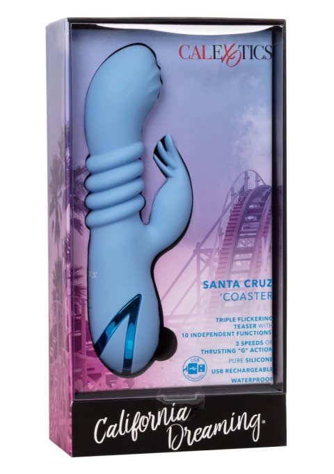 Santa Cruz Coaster