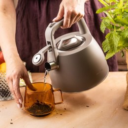 CZAJNIK STALOWY Z GWIZDKIEM 2,5L KLAUSBERG KB-7916