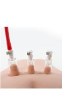 TEMPTASIA CLITORIS PLEASURE SYSTEM