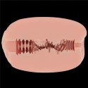 Slider Double-Ended Masturbator Vagina and Anus
