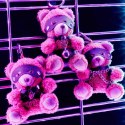 CRUSHIOUS CRUSHITO HARNESS BEAR KEYRING