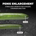 CyberPulse - Automatic Waterproof Penis Pump - Black