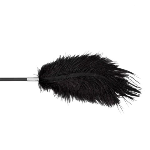 Fetish B-Series Tickler & Whip 1.0