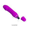 PRETTY LOVE - STEV, PURPLE 10 function