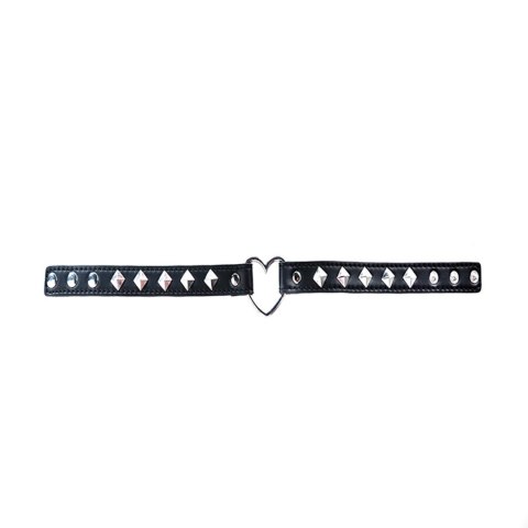 Adjustable heart collar