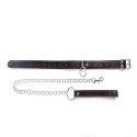 Collar with detachable leash