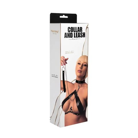 Collar with detachable leash