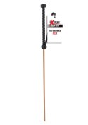 The Obedience Cane