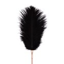 Rosy Gold - Feather Tickler & Whip - Rosegold