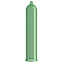 Pasante Mint Tingle Condoms Bulk Packs 144 psc