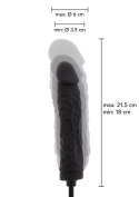 Hidden Desire Extreme Inflatable Dong - Advanced