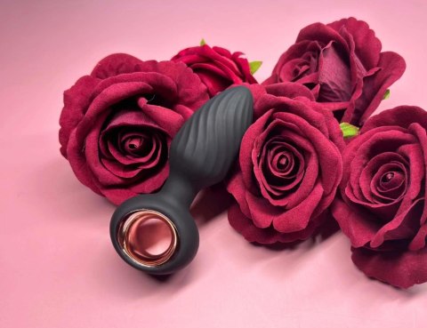 Aisi Rotating Plug