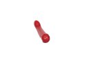 Feminism Vibrator