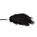 Fetish B-Series Tickler & Whip 1.0