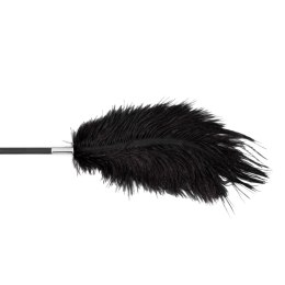 Fetish B-Series Tickler & Whip 1.0