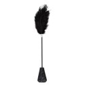 Fetish B-Series Tickler & Whip 1.0