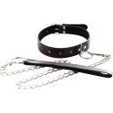 Collar with detachable leash