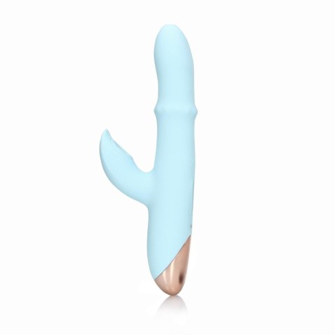 Pulse Wave and Up-and-Down Moving Ring Vibrator