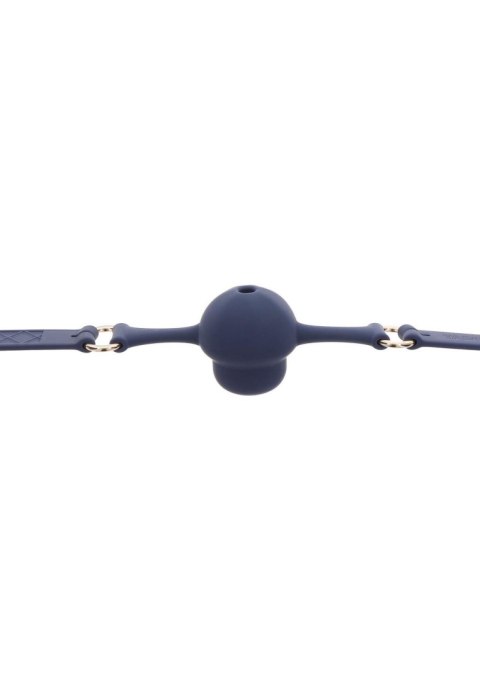 Silicone Mouth Gag Blue