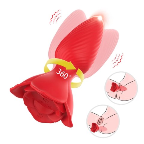 Honey Jelly