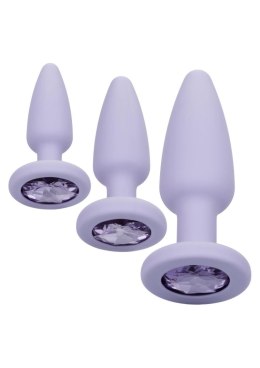 Zestaw korków analnych Crystal Booty Calexotics fioletowy