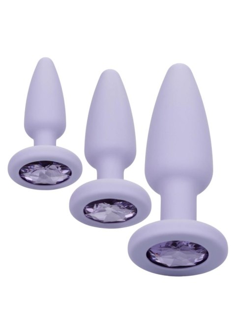 Zestaw korków analnych Crystal Booty Calexotics fioletowy