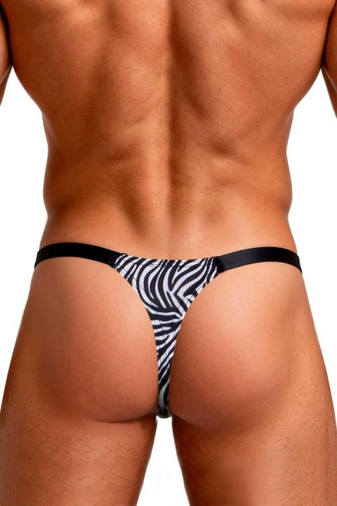 Sexy men's thong with zebra print S/M