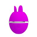 PRETTY LOVE - Gemini Ball, Silicone, USB rechargeable
