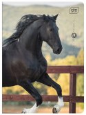 Zeszyt A5 32k 3-linia kol. 70g UV Wild Horses INTERDRUK