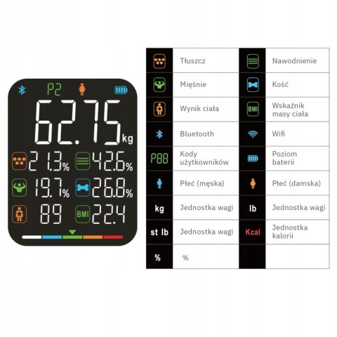 Waga łazienkowa analityczna Webber 15 parametrów Bluetooth