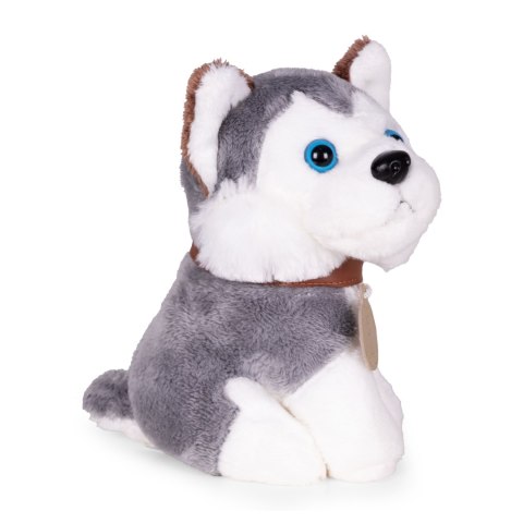 Pluszowy Piesek Husky W Torebce Z Szczotką Do Pielęgnacji Dla Dzieci