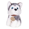 Pluszowy Piesek Husky W Torebce Z Szczotką Do Pielęgnacji Dla Dzieci
