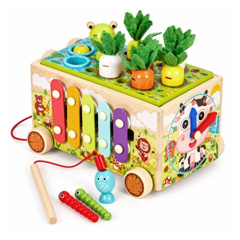 Drewniana Kostka Edukacyjna Ecotoys 8w1 Wózek Sorter Cymbałki Żabka