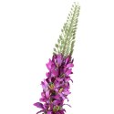 SZTUCZNY KWIAT Gałązka Pustynnik ,Tuberoza 104 cm fioletowy