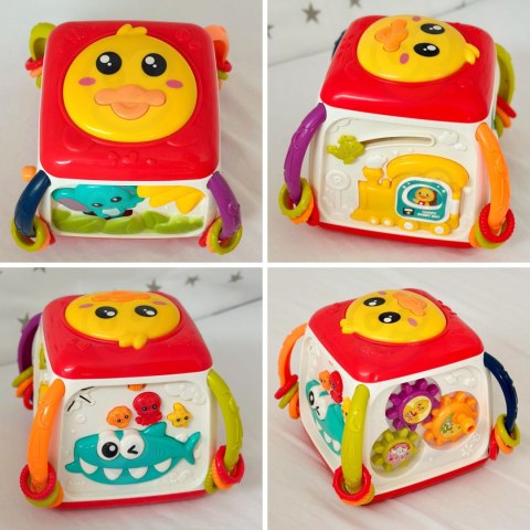 WOOPIE BABY Interaktywna Kostka Edukacyjna Wielofunkcyjna 18m+