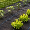 Agrowłóknina czarna MultiGarden 135g 3,2x50m z kołkami