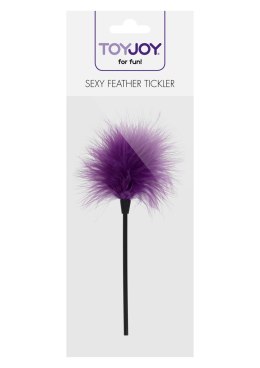Piórko łaskoczące ToyJoy fioletowe 22 cm miotełka do masażu ciała