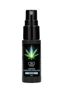 CBD Cannabis Pheromone Stimulator For Him - 15ml   